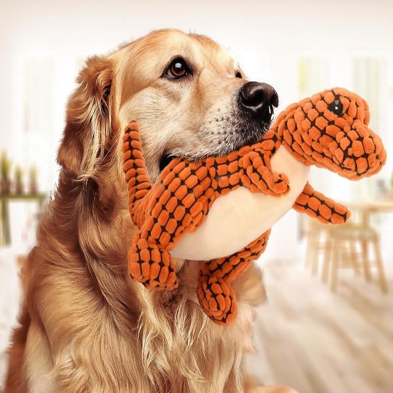 Dog on walk with CozyPet Hub gear